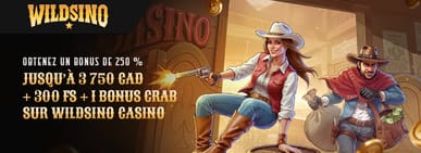 Bonus de bienvenue de Wildsino Casino